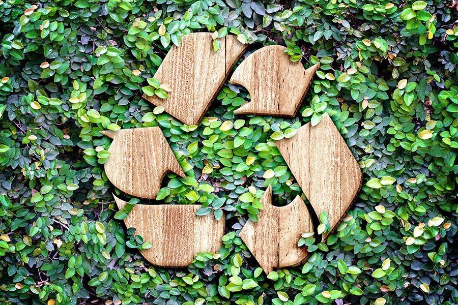 Sustainable practices to preserve and protect our world.